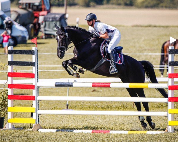 jumper Smart Black Spirit (Oldenburg, 2013, from Spaceball)