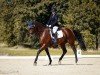 jumper Reyna THC (anglo european sporthorse, 2016, from Landrover)