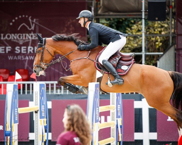 jumper Agr Trouble Maker (Spanish Sport Horse, 2014, from Action-Breaker)