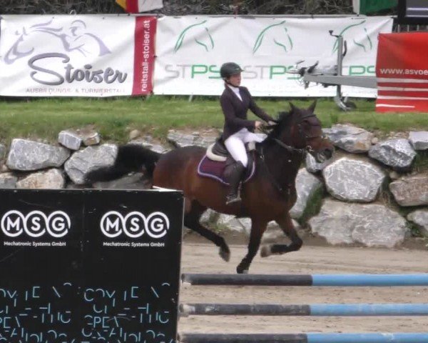 Reitturnier Preding 2023