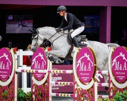 jumper Christianus (Hanoverian, 2013, from Christian 25)