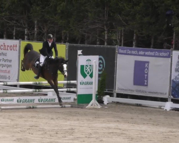 Reitturnier Preding 2023