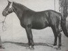 stallion Edzold Mo 998 (S-A 356) (Heavy Warmblood, 1950, from Edzar (Mo) 568)