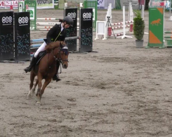 Reitturnier Tillmitsch 2023