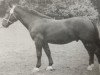 stallion Ego Mo 364 (Heavy Warmblood, 1948, from Ponto SN 700)