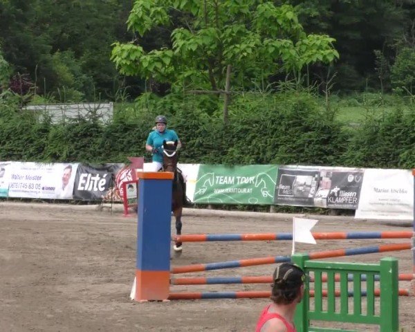 Reitturnier Tillmitsch 2023