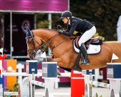 jumper Dinadja (KWPN (Royal Dutch Sporthorse), 2008, from Ad Unaniem)