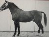 stallion Eremit (Heavy Warmblood, 1964, from Edelfalk)
