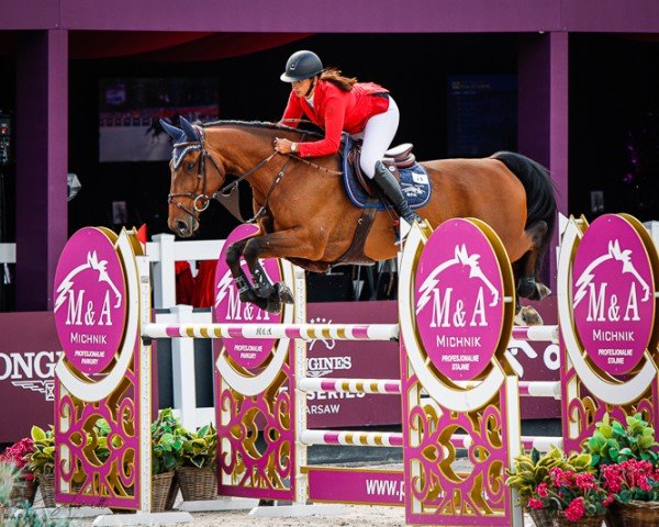 Springpferd Edgard de Prefontaine (Belgium Sporthorse, 2010, von Pkz Contact van de Heffinck)