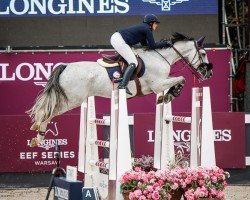 jumper Electro vd Kromsteeg Z (Zangersheide riding horse, 2014, from Emerald van 't Ruytershof)