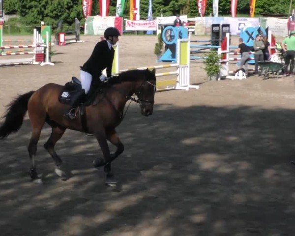 Reitturnier Tillmitsch 2023