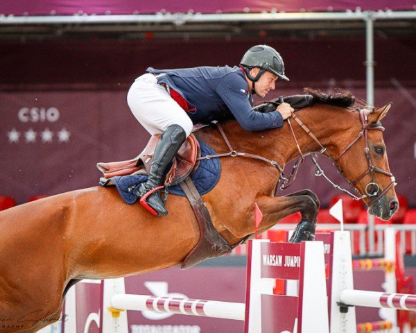 jumper Feyah (KWPN (Royal Dutch Sporthorse), 2010, from Verdi)