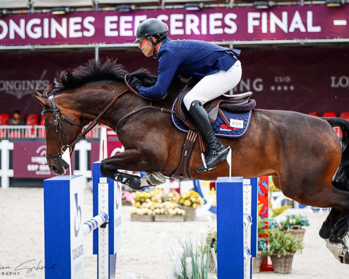 jumper Kentucky Balia Nl (KWPN (Royal Dutch Sporthorse), 2015, from Carambole)