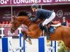 Springpferd Killaloe Sitte (Belgium Sporthorse, 2016, von Dayton Sitte)