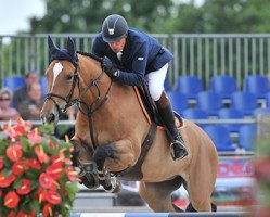 broodmare Femke de Kalvarie (Belgian Warmblood, 2005, from For Pleasure)