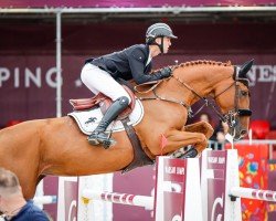 jumper Kivolette van Beek (KWPN (Royal Dutch Sporthorse), 2015, from Cidane)