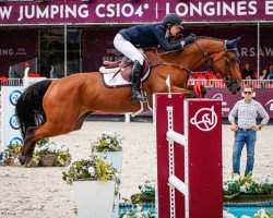 Springpferd Porsche V (Belgisches Warmblut, 2015, von Corydon van T&L)