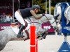 jumper Saratoga Lw (Oldenburg show jumper, 2015, from Stakkato Gold)