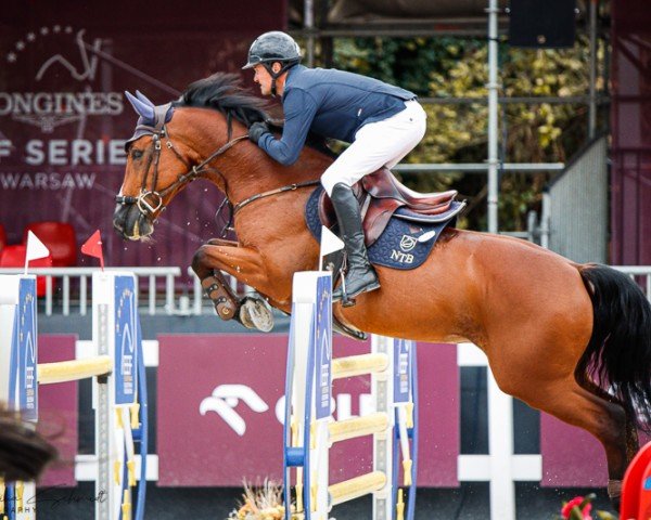 Springpferd Whoopy Boy (Polnisches Warmblut, 2011, von Bajou du Rouet)