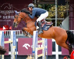 Springpferd Whoopy Boy (Polnisches Warmblut, 2011, von Bajou du Rouet)