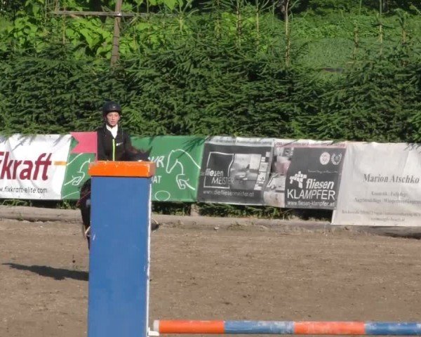 Reitturnier Tillmitsch 2023