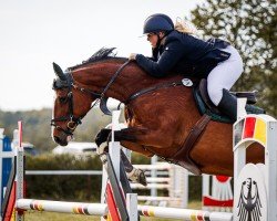 jumper Bukoko (Oldenburg, 2008, from Balou du Rouet)