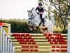 jumper Clarissa Vom Quellental (German Sport Horse, 2014, from Casino Berlin OLD)