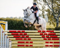 jumper Clarissa Vom Quellental (German Sport Horse, 2014, from Casino Berlin OLD)