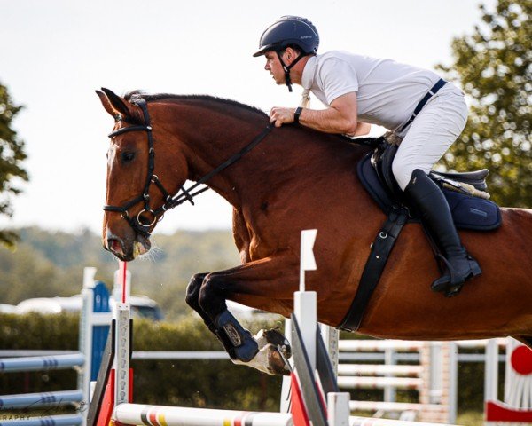 jumper Wildrose 126 (German Sport Horse, 2015, from Pessoa VDL)