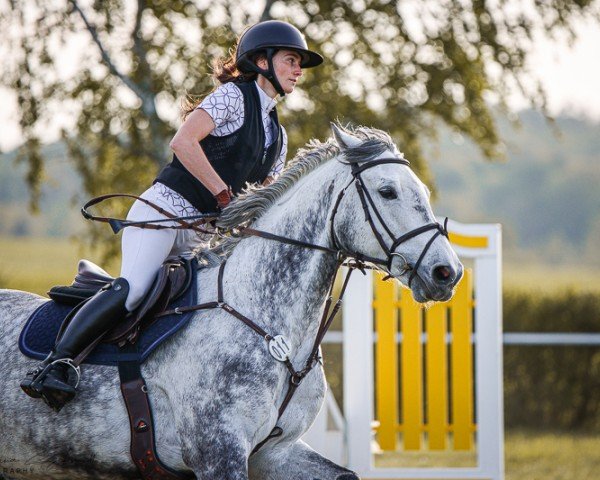 jumper Aubrey Drake Graham (Oldenburg show jumper, 2015, from DSP Araldik)