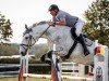 jumper Linus W (German Sport Horse, 2011, from Lagazoui)