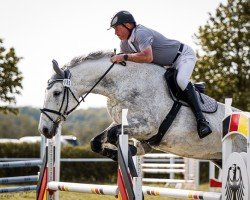 jumper Linus W (German Sport Horse, 2011, from Lagazoui)