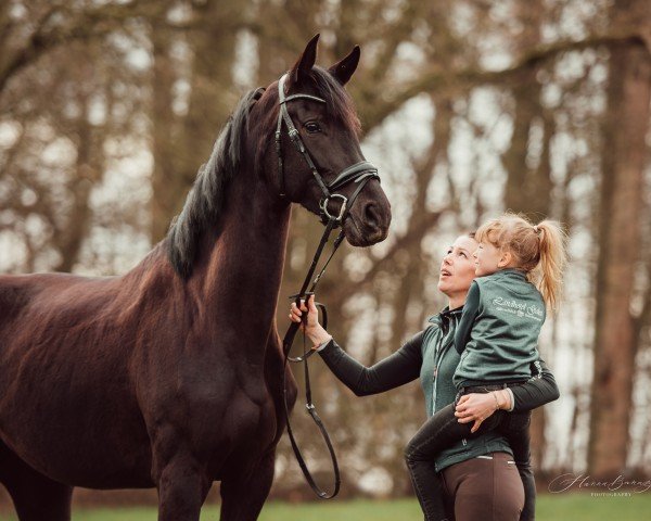 dressage horse Viva la Bella 4 (Westphalian, 2020, from Vitalis)