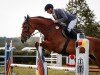 jumper L.a. 24 (German Sport Horse, 2014, from Last Man Standing)