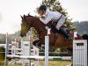 jumper Lyjandro 2 (Oldenburg show jumper, 2014, from Lyjanero)