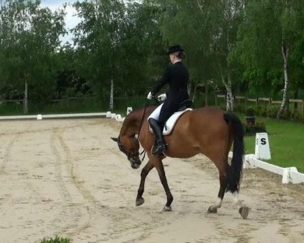 Lienen Dressur und Springturnier 2012