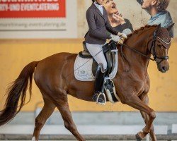 dressage horse Royal Finest (Oldenburg, 2016, from Blue Hors Veneziano)