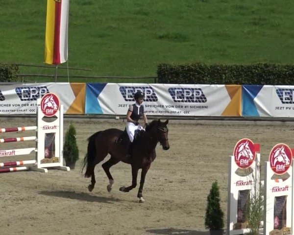 Reitturnier Piber 2023