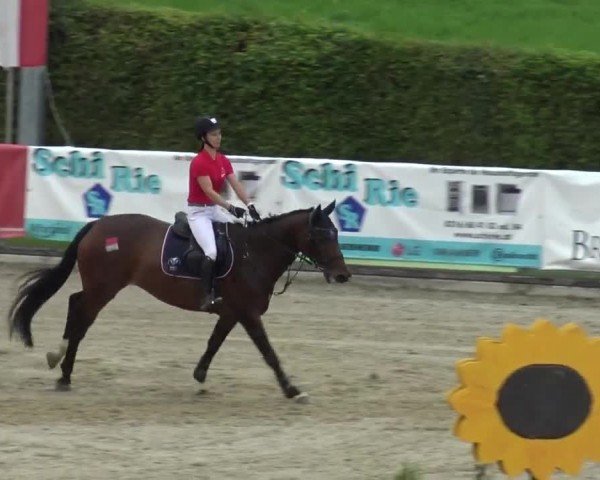 Reitturnier Piber 2023