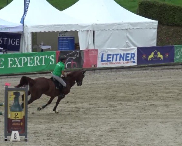 Reitturnier Piber 2023