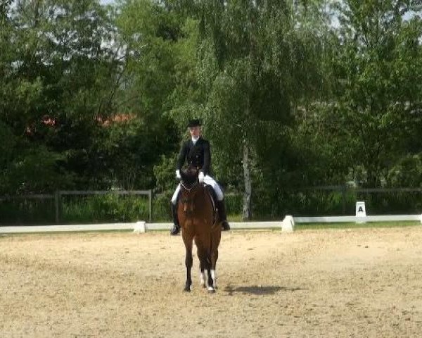 Lienen Dressur und Springturnier 2012