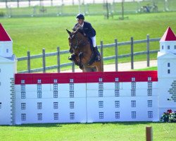 jumper Torino (KWPN (Royal Dutch Sporthorse), 2003, from Indoctro)