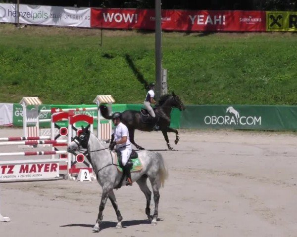 Reitturnier Zeltweg-Farrach 2023