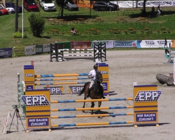 Reitturnier Zeltweg-Farrach 2023