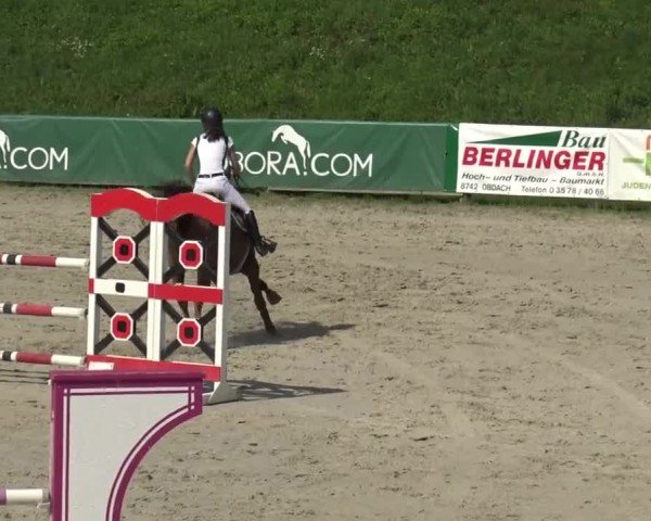 Reitturnier Zeltweg-Farrach 2023