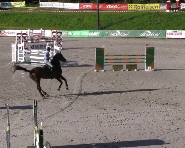 Reitturnier Zeltweg-Farrach 2023