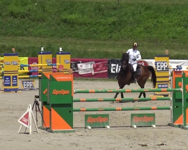 Reitturnier Zeltweg-Farrach 2023