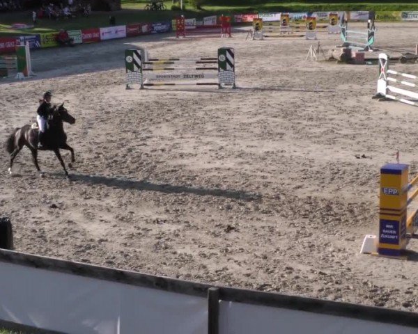 Reitturnier Zeltweg-Farrach 2023