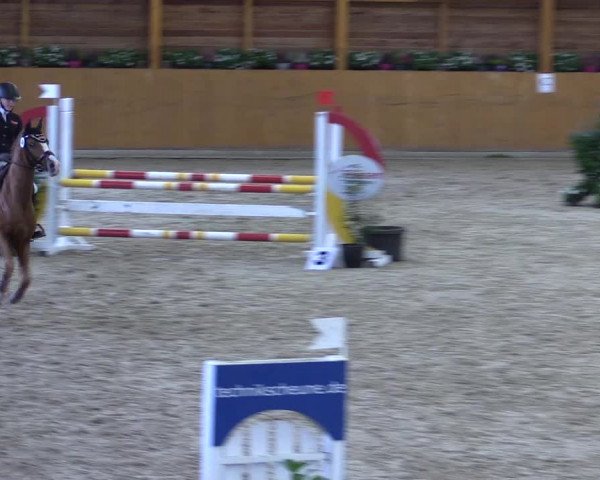 Ponyturnier Xanten - Reitanlage Miss 2021