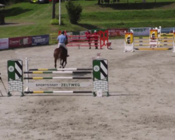 Reitturnier Zeltweg-Farrach 2023